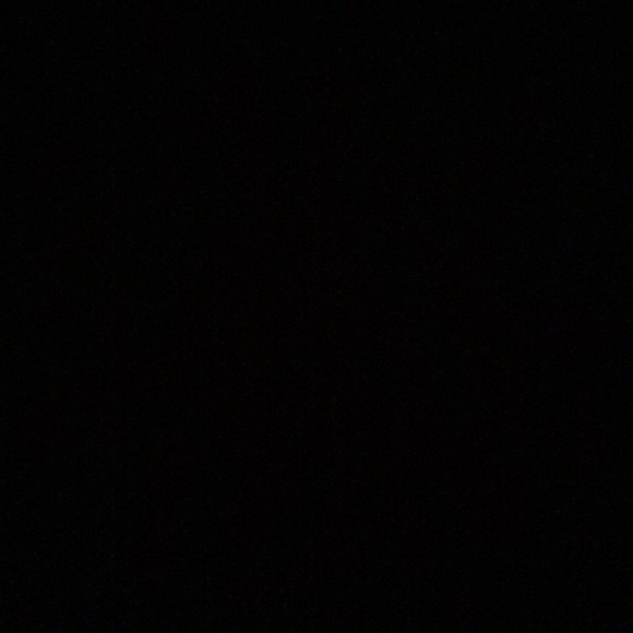 Meet your Posher, Prudence - Picture 1 of 1